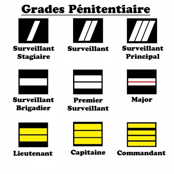 PORTE CARTE MEDAILLE ADMINISTRATION PENITENTIAIRE + GRADE - 2 VOLETS