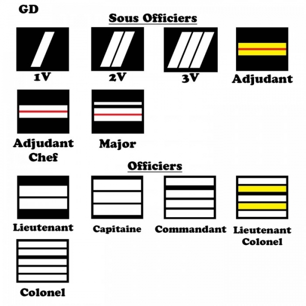 PORTE CARTE MEDAILLE GENDARMERIE DEPARTEMENTALE + GRADE - 3 VOLETS