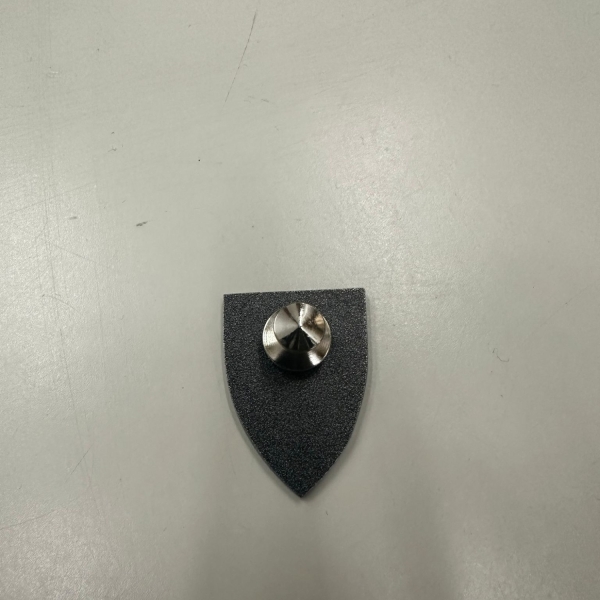 Pin's CRS
